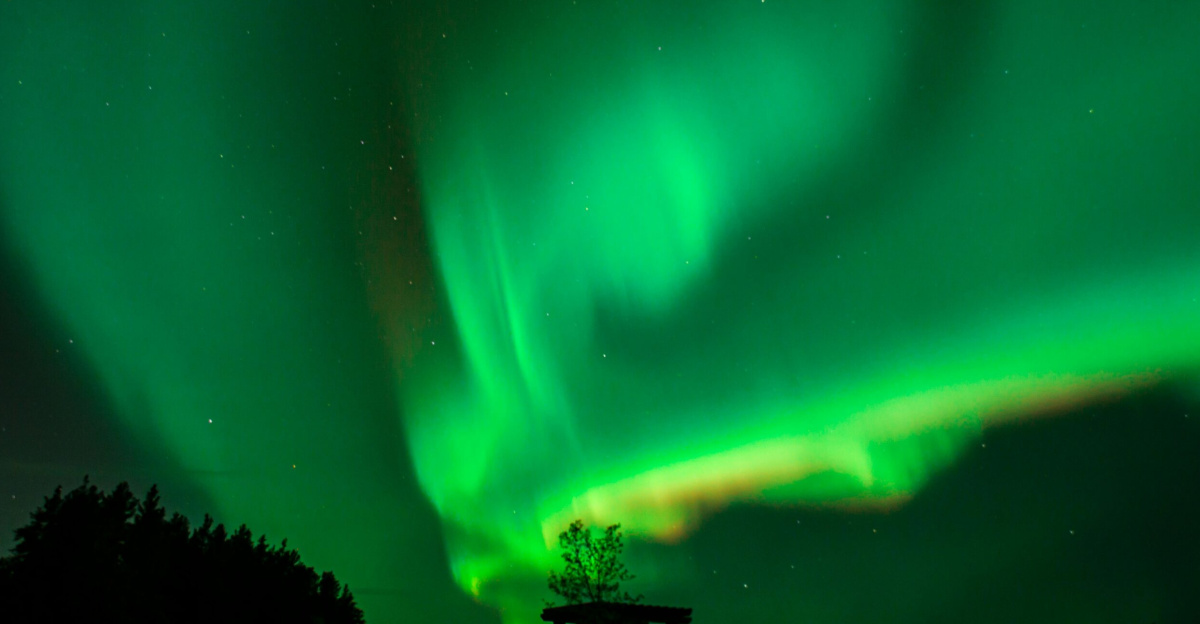Mesmerizing Northern Lights illuminating the night sky, captured in Winnipeg, Canada.