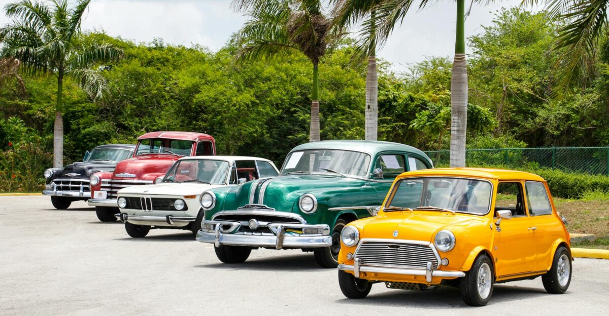 A lineup of vintage cars parked outdoors surrounded by palm trees on a sunny day