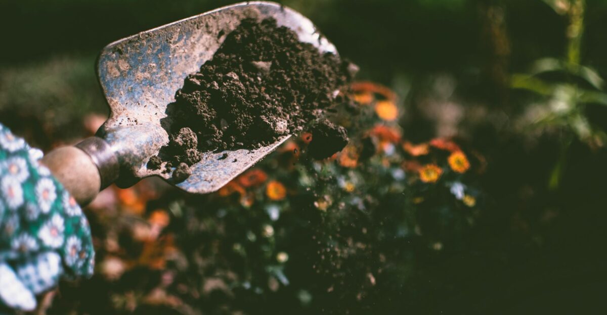Close-up of a gardening shovel with soil surrounded by vibrant blooms in an outdoor garden setting
