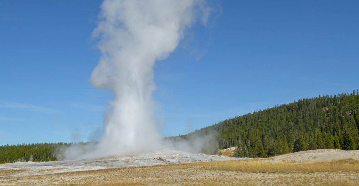 Capturing the majestic eruption of Old Faithful geyser against a bright blue sky in Yellowstone National Park