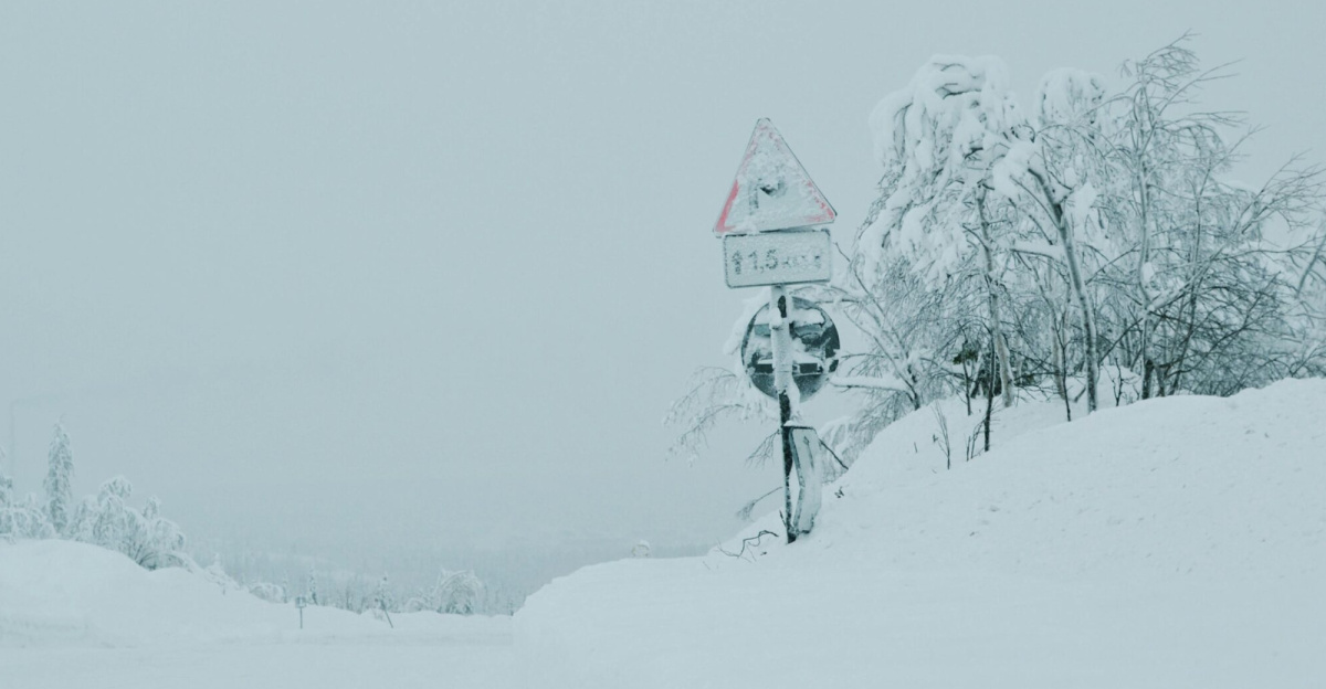 A snowy road during winter with snow-laden trees and a road sign.