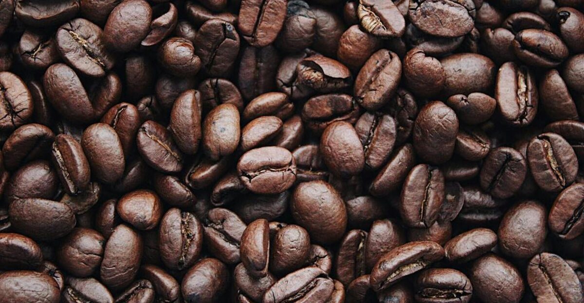 A detailed view of aromatic roasted Arabica coffee beans highlighting texture and brown color
