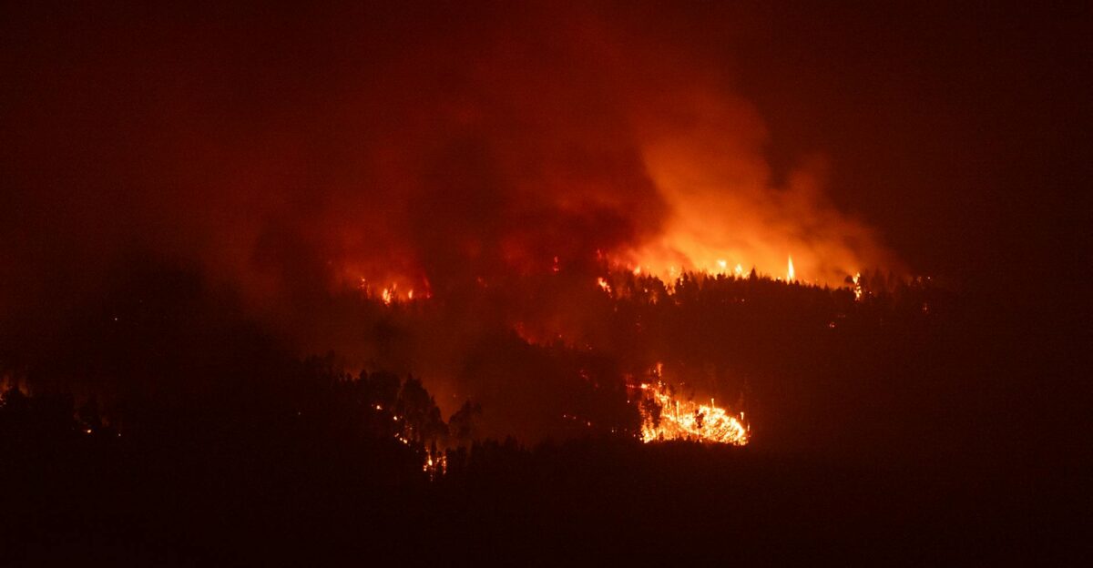 A dramatic nighttime view of a wildfire blazing through forests in Puerto de la Cruz Spain