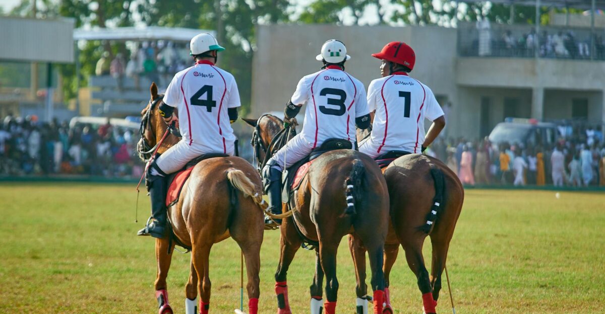 Three polo players on horseback in action with a crowd of spectators in the background