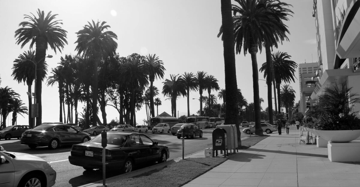 Grayscale image of a sunny street lined with palm trees