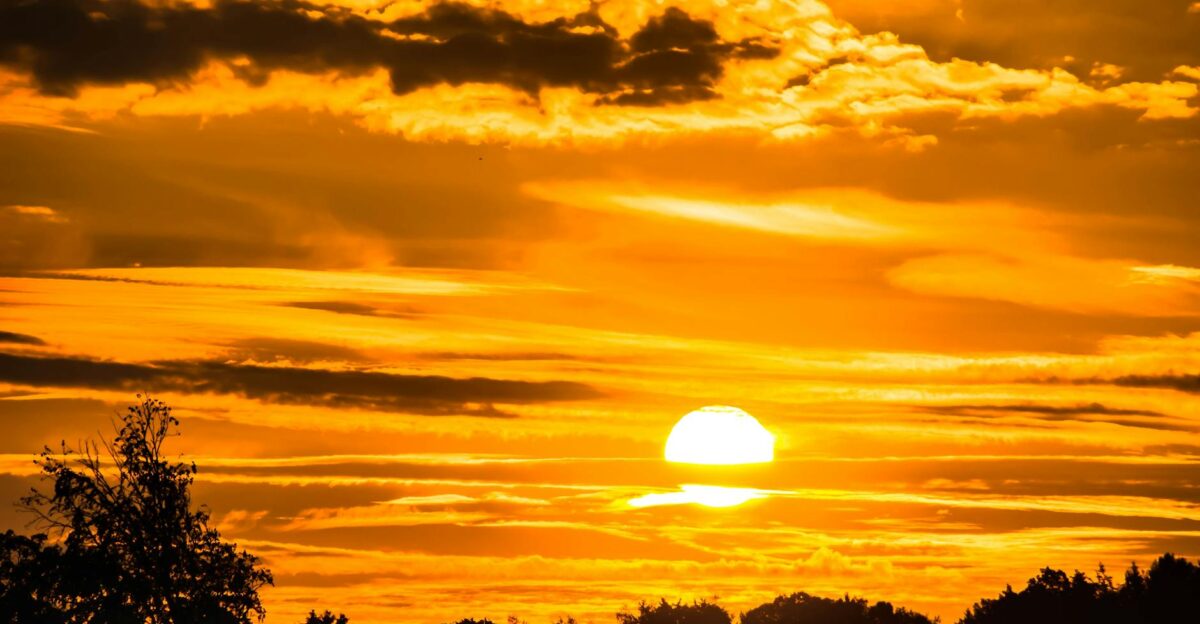 Dramatic golden sunset with silhouetted trees creating a vibrant sky landscape