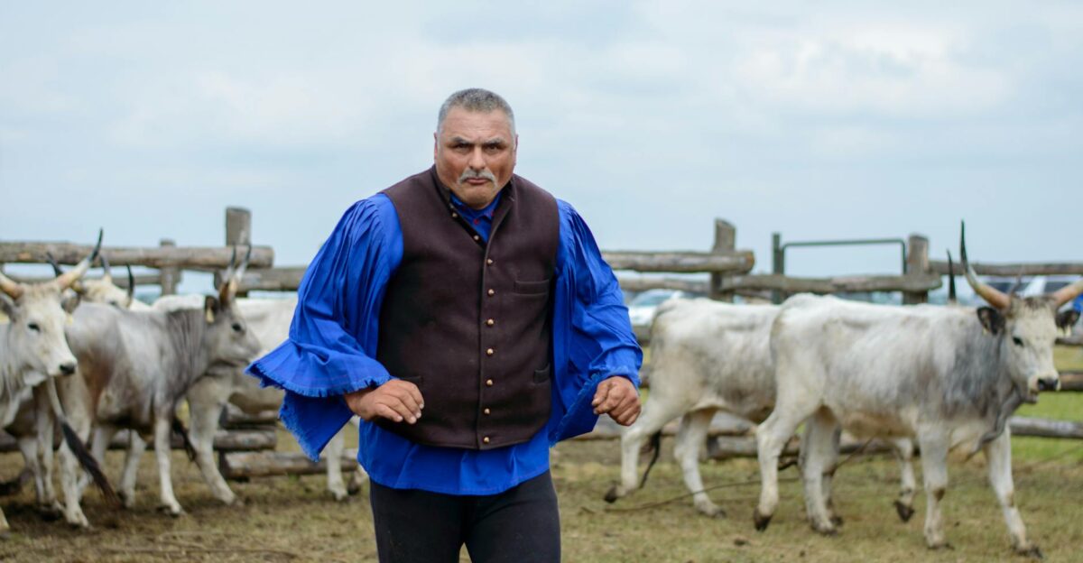 A traditional farmer in blue attire stands confidently among a herd of cattle in a rural enclosure