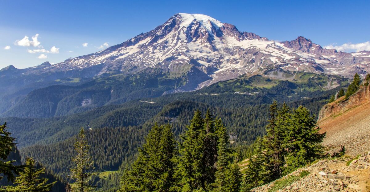 Scenic view of Mount Rainier with snow and conifer forest in Washington State during summer