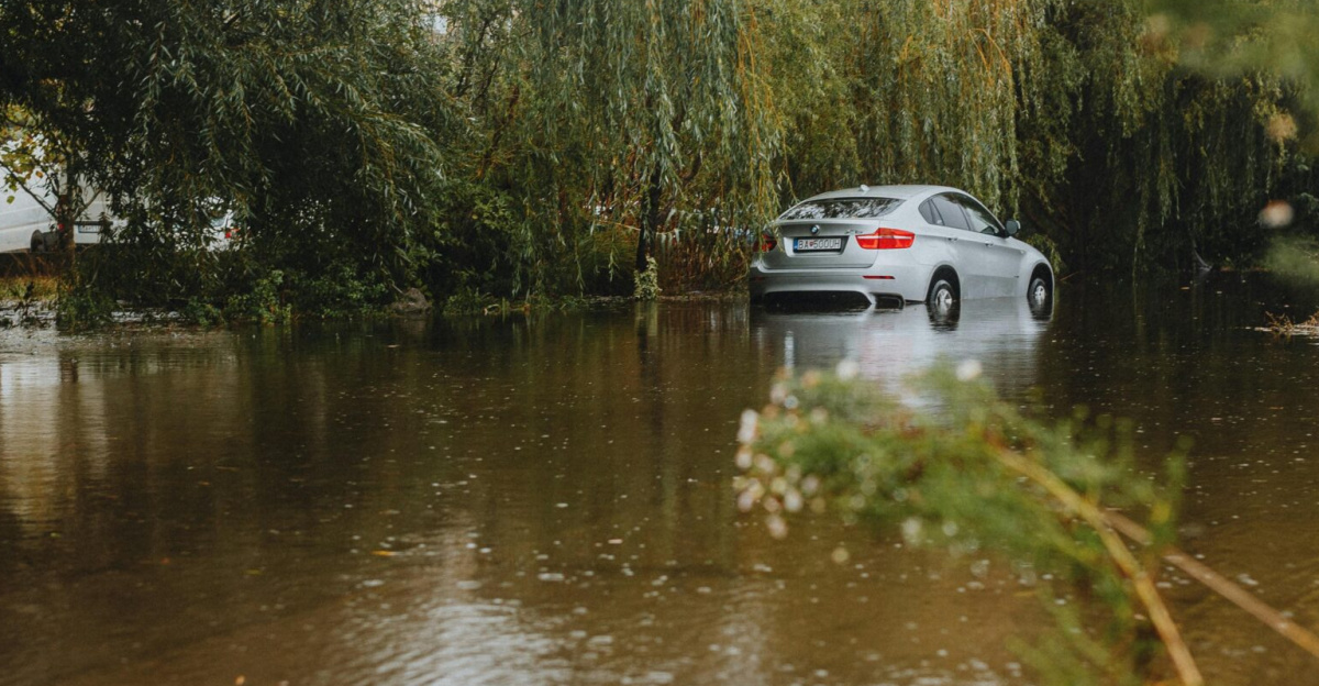 A silver car partially submerged in floodwaters surrounded by trees, reflecting environmental impact.