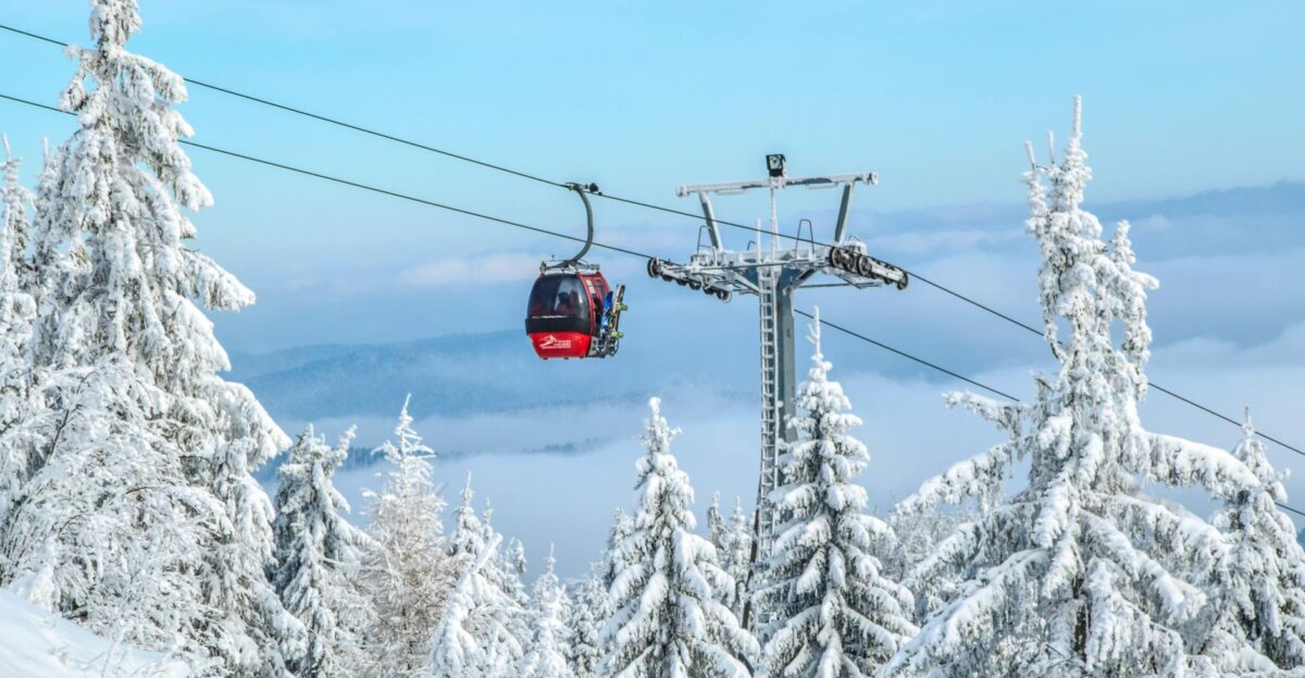 Snow-covered ski lift in Krynica-Zdr j Poland amidst wintry forest scenery