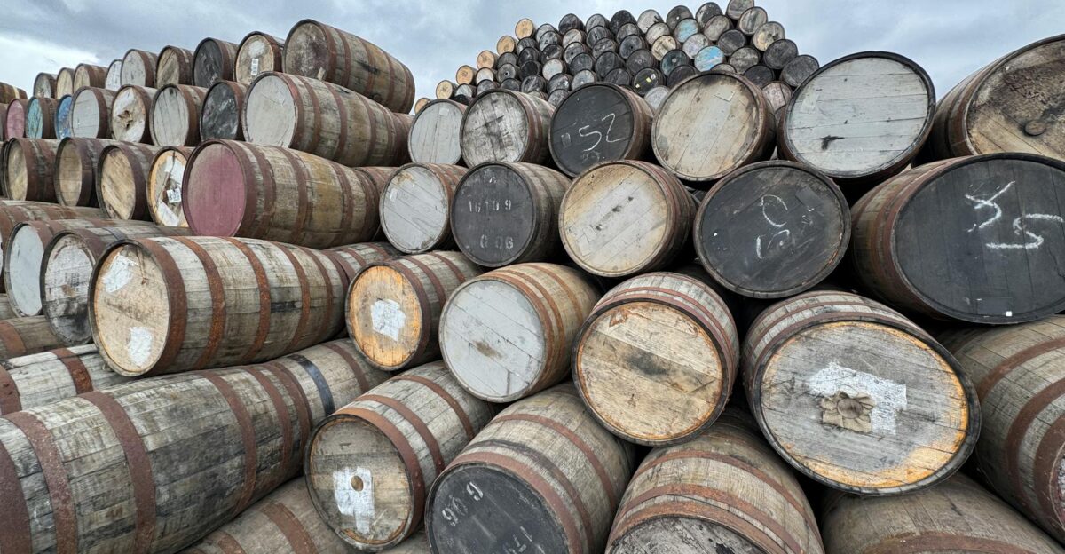 Rows of oak barrels at a Scottish distillery ideal for whiskey production imagery