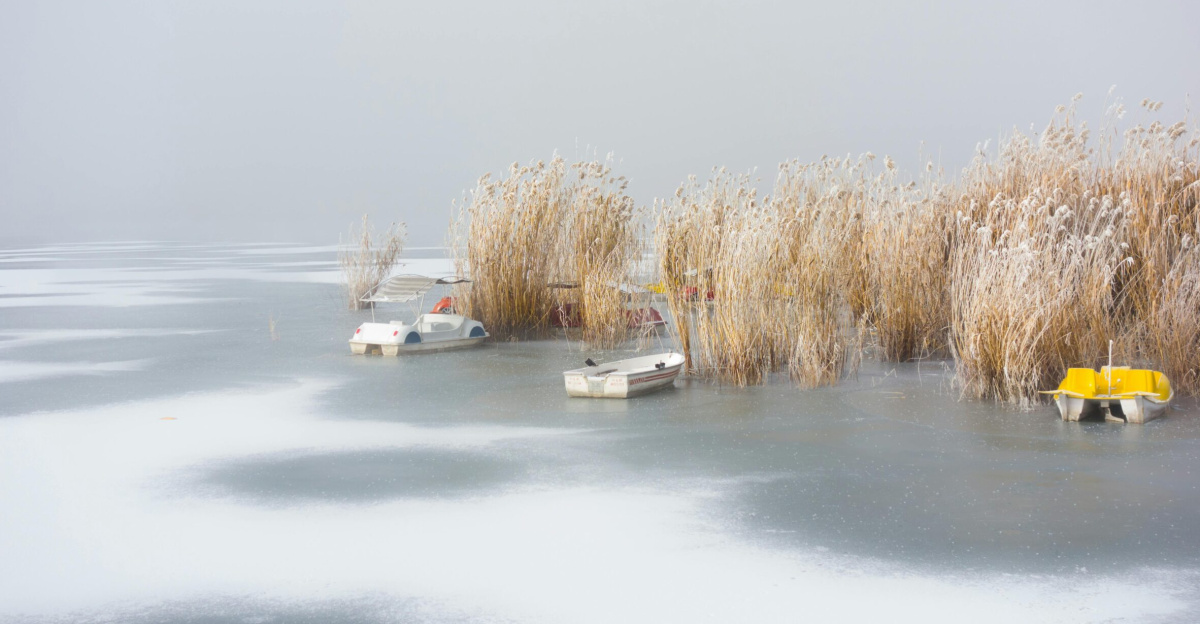 A serene winter landscape featuring frozen lake waters, moored boats, and snow-covered reeds.