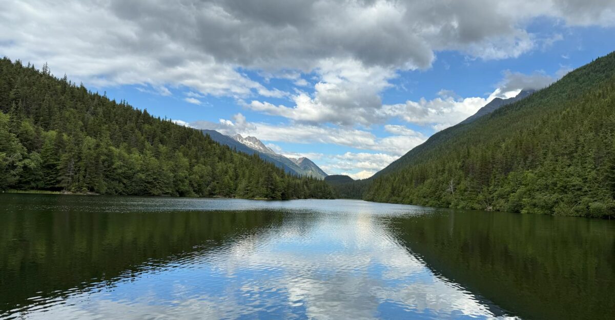 Free stock photo of alaska america forest