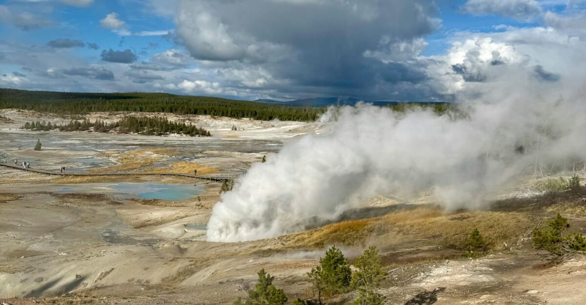 Steam rises from a geyser in Yellowstone s expansive landscape under a cloudy sky