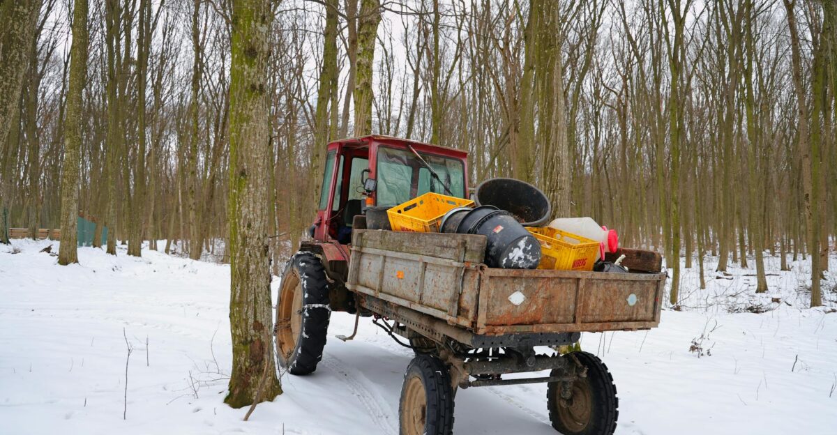 A red tractor in a snowy forest carrying various cargo in its trailer