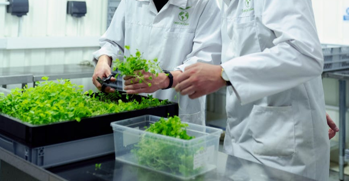Two scientists working with plants in a controlled indoor farming laboratory setting