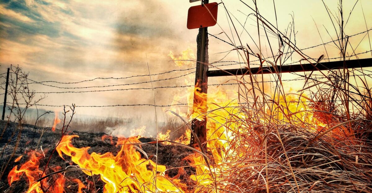 Dramatic image of a grass fire blazing near a barbed wire fence in a rural Kansas field