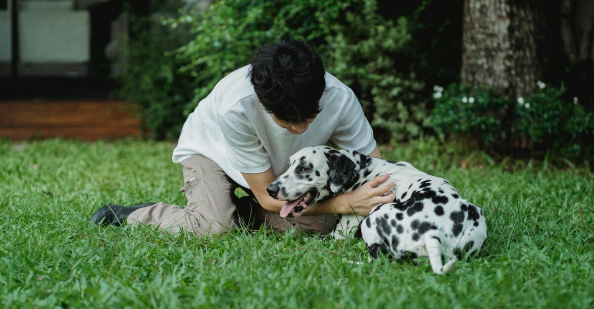 A man kneels on grass petting his Dalmatian dog capturing a moment of companionship outdoors