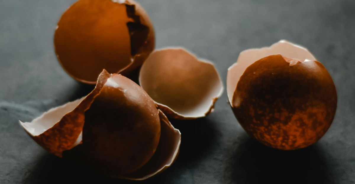 Moody close-up of cracked eggshells with a blurred background, perfect for kitchen themes.