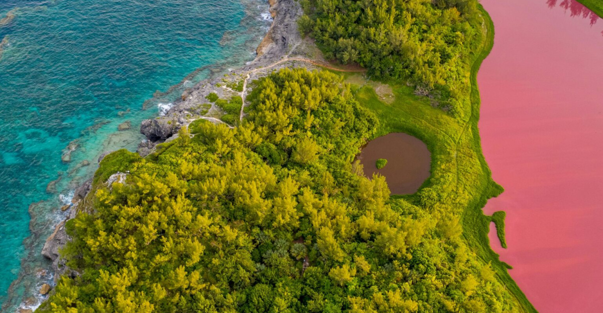Stunning aerial shot of Bermuda's coastline with lush greenery and vibrant waters.