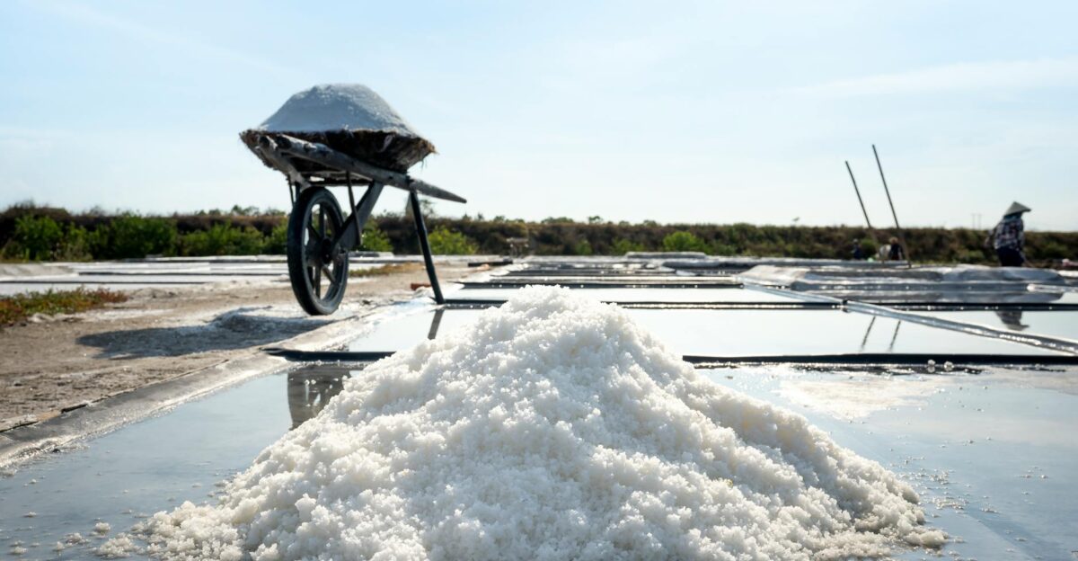 A detailed view of salt harvesting with a wheelbarrow in a coastal salt pan