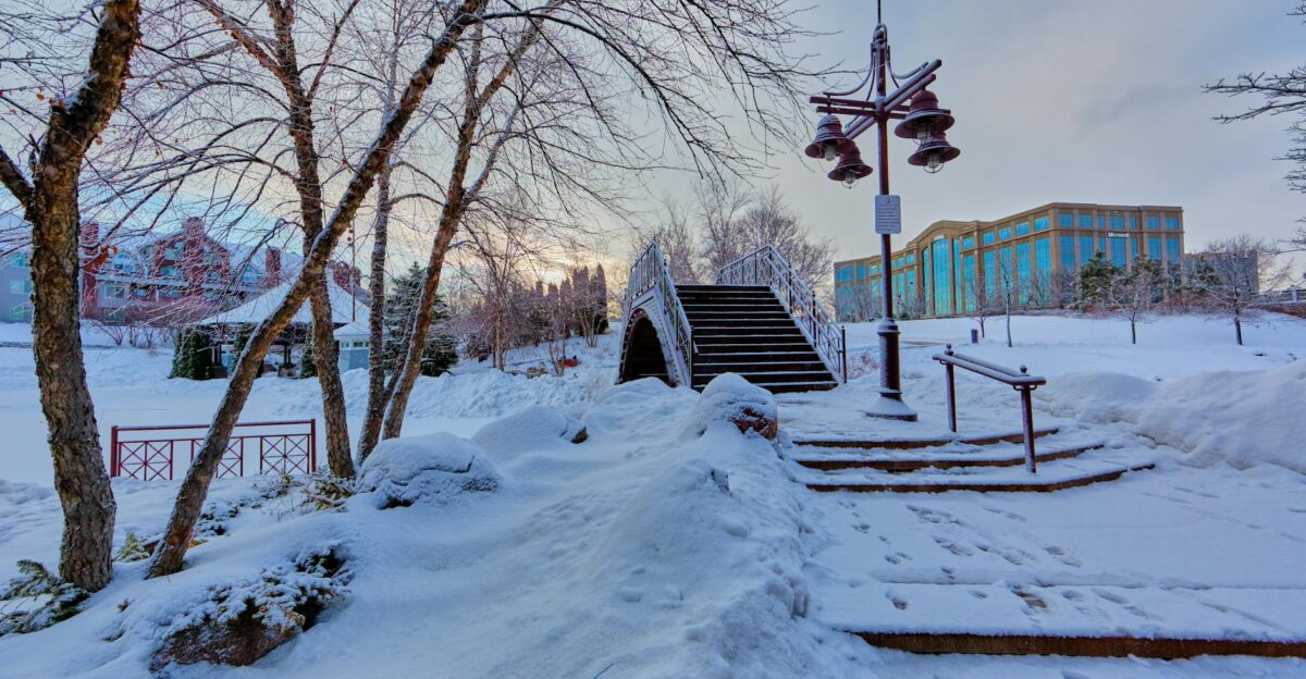 Beautiful winter landscape in Edina Minnesota showcasing a snow-covered bridge and trees