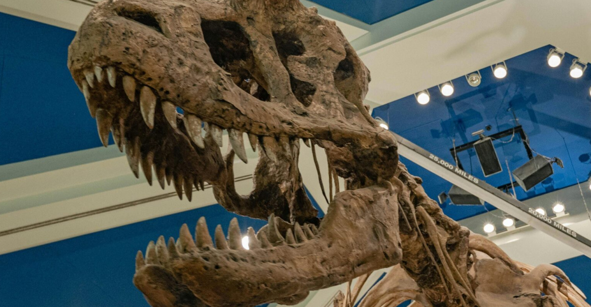 Close-up of a dinosaur skeleton in a museum setting, showcasing intricate details and dramatic lighting.