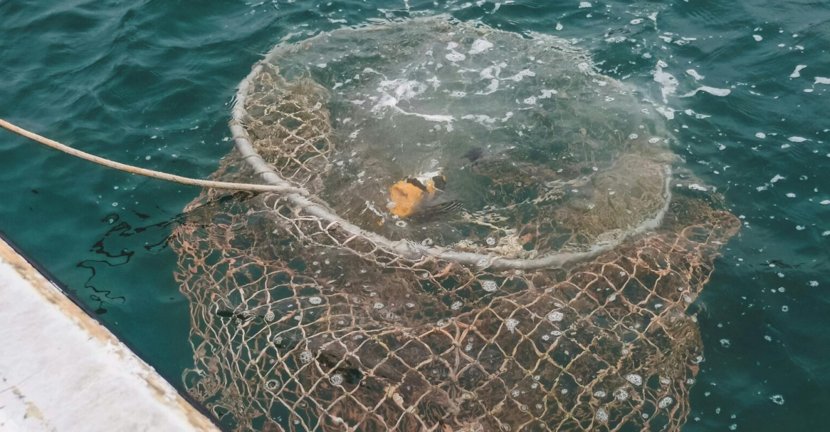 A fishing net being pulled from the ocean, capturing fish in the open sea.