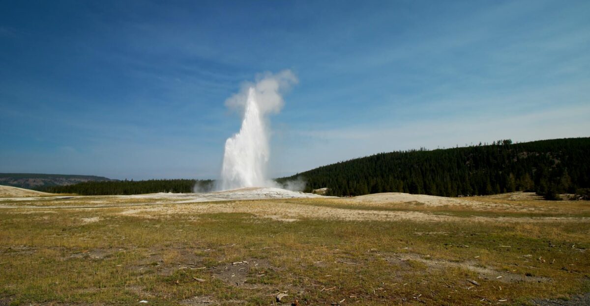 Eruption of Old Faithful geyser in Yellowstone National Park under a clear blue sky