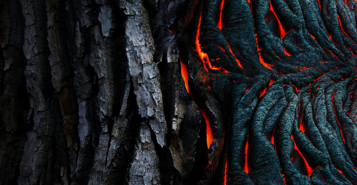 Vivid abstract of glowing lava texture against dark tree bark. Perfect for nature-themed designs.