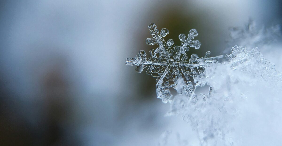 focused photo of a snow flake