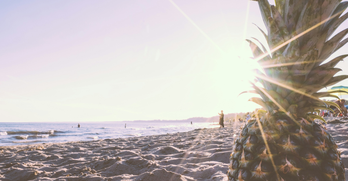 pineapple in beach during daytime