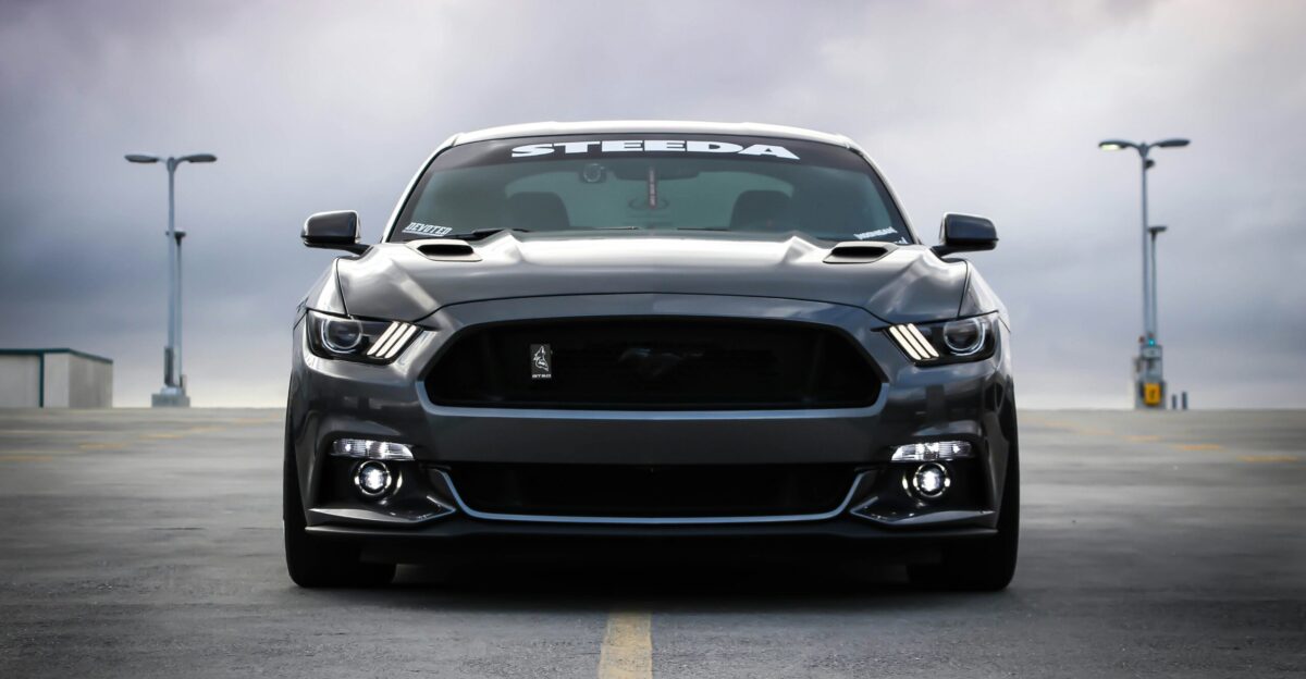 black Shelby car on road
