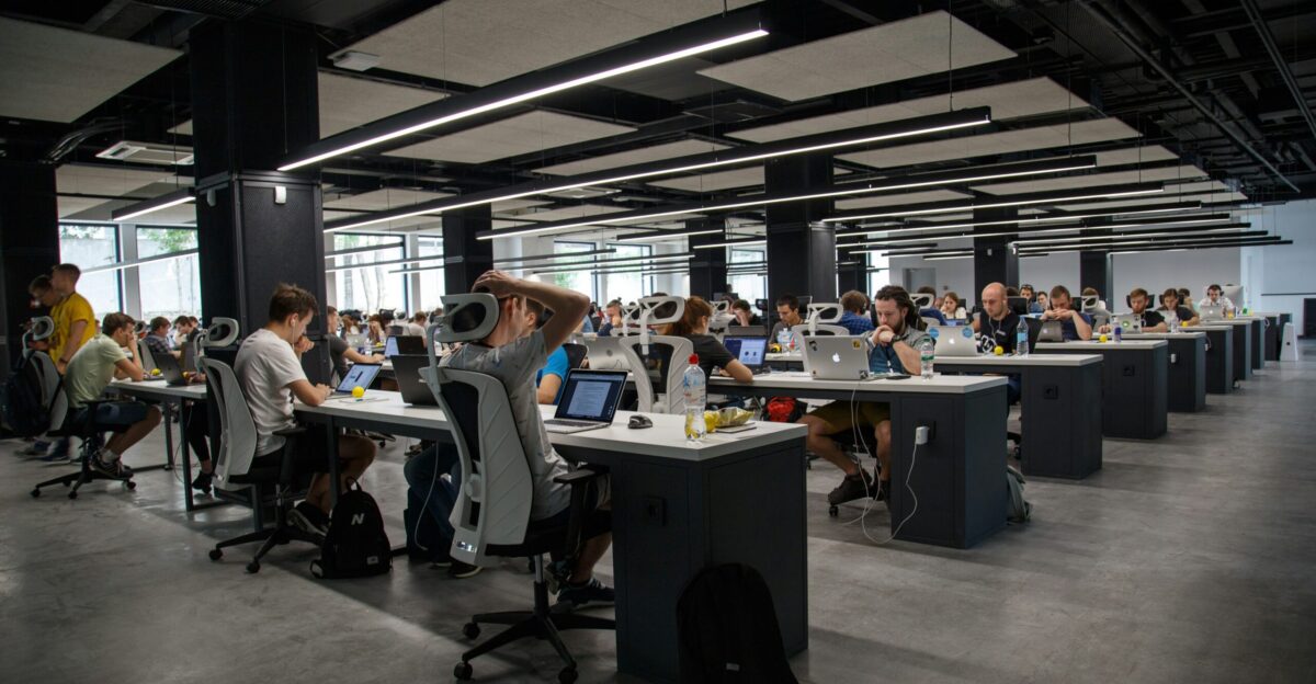 people doing office works