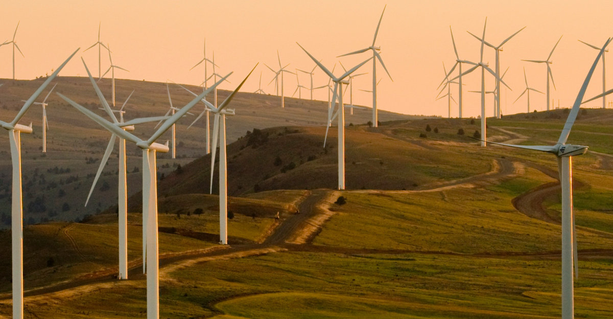 windmills on green field under white sky during daytime