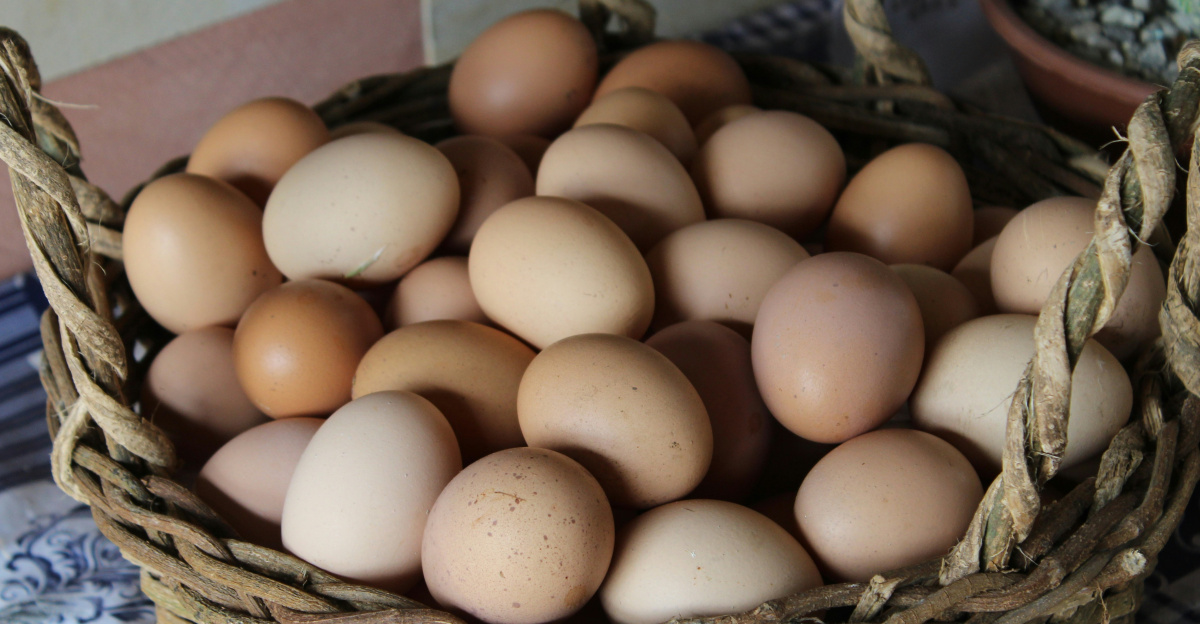 eggs in brown wicker basket