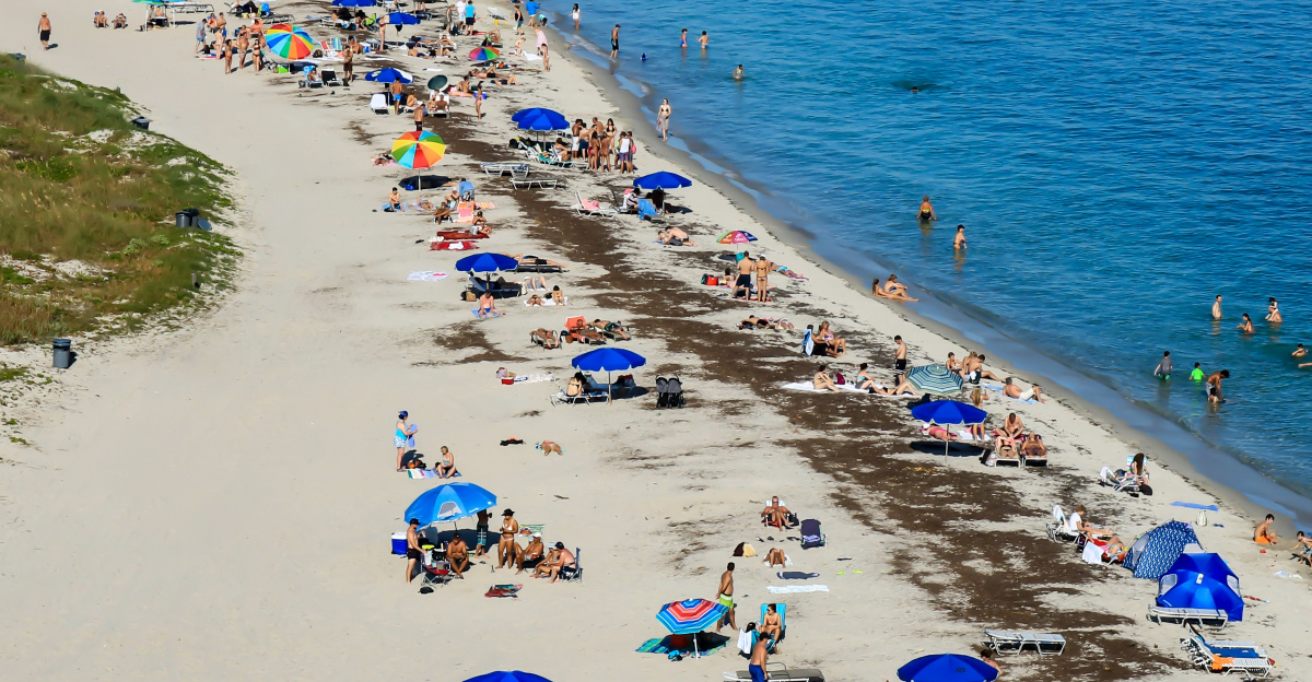 people on beach during daytime
