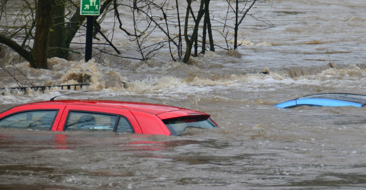 car on body of water