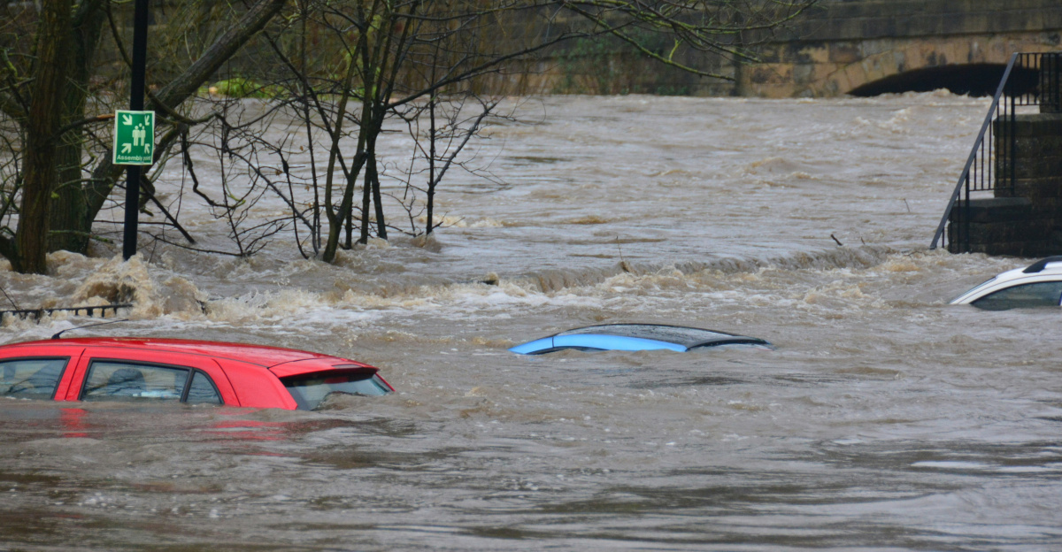 car on body of water