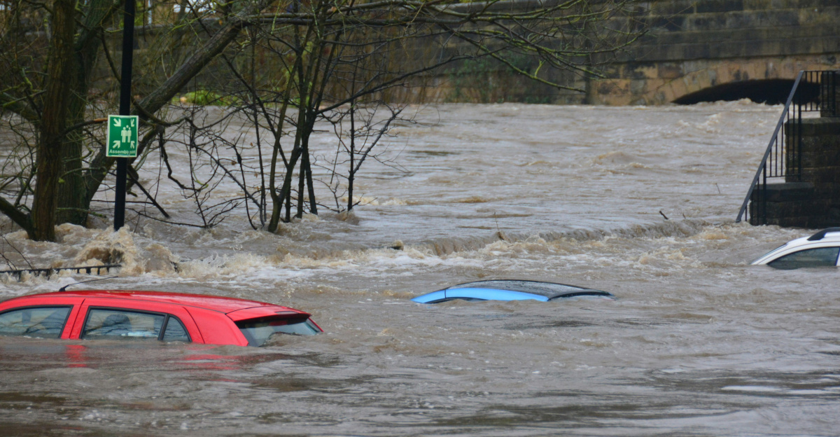 car on body of water