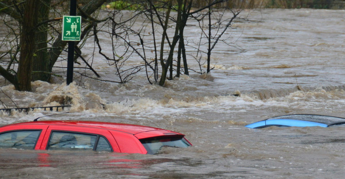 car on body of water
