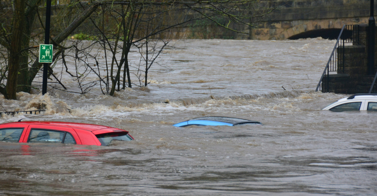 car on body of water