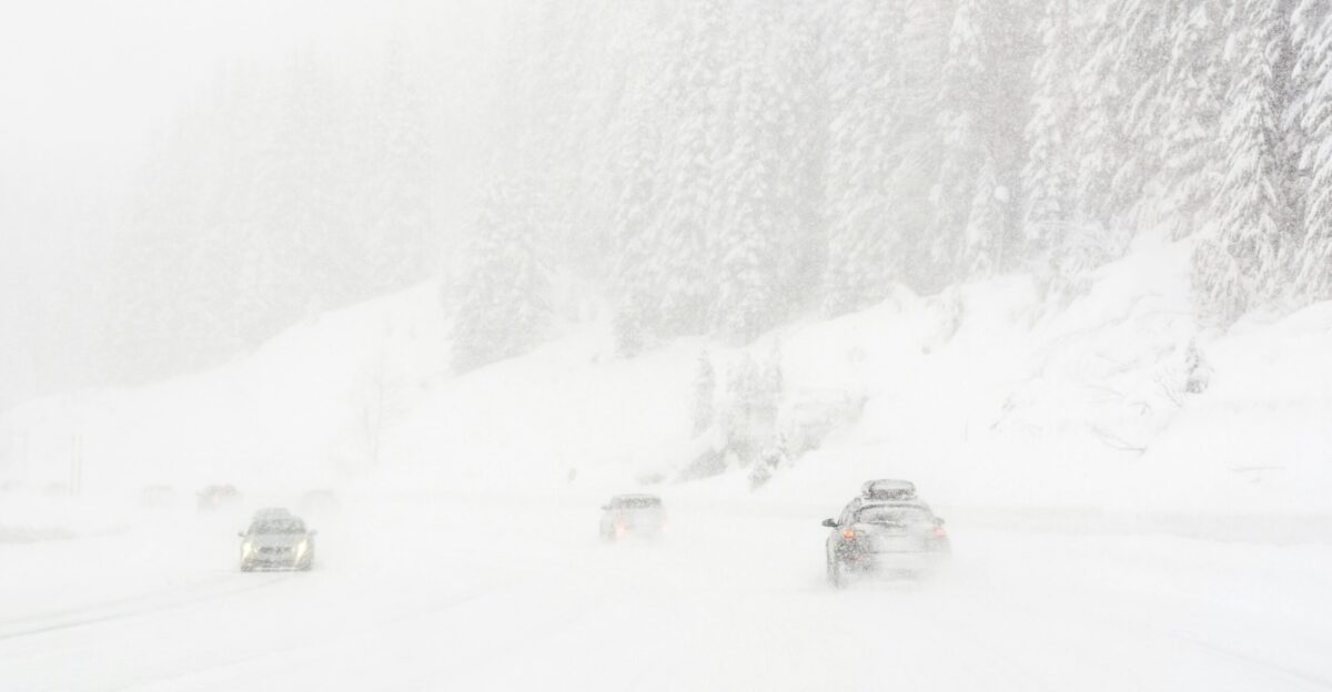 vehicle on roadway near trees covered by snow