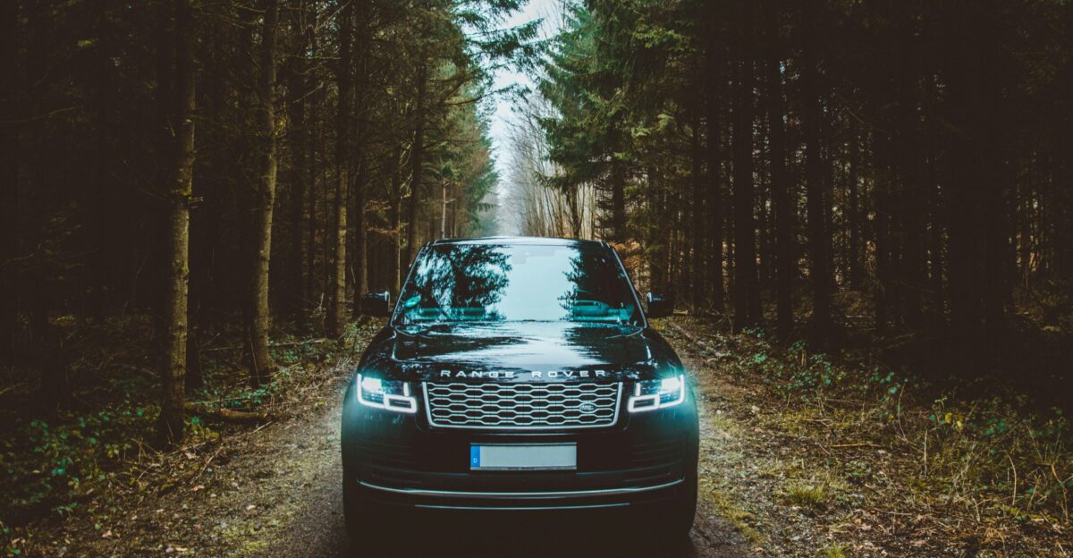 green Land Rover Range Rover SUV passing on dirt road between green trees