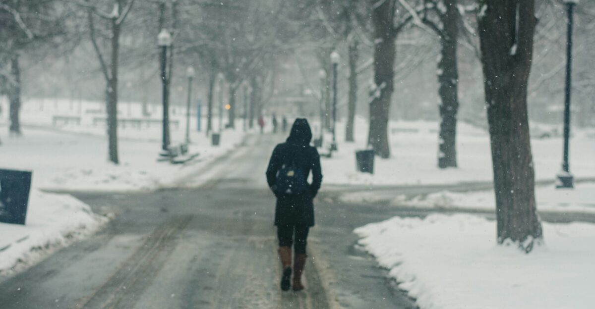 person in black hoodie standing between snow covered road and trees