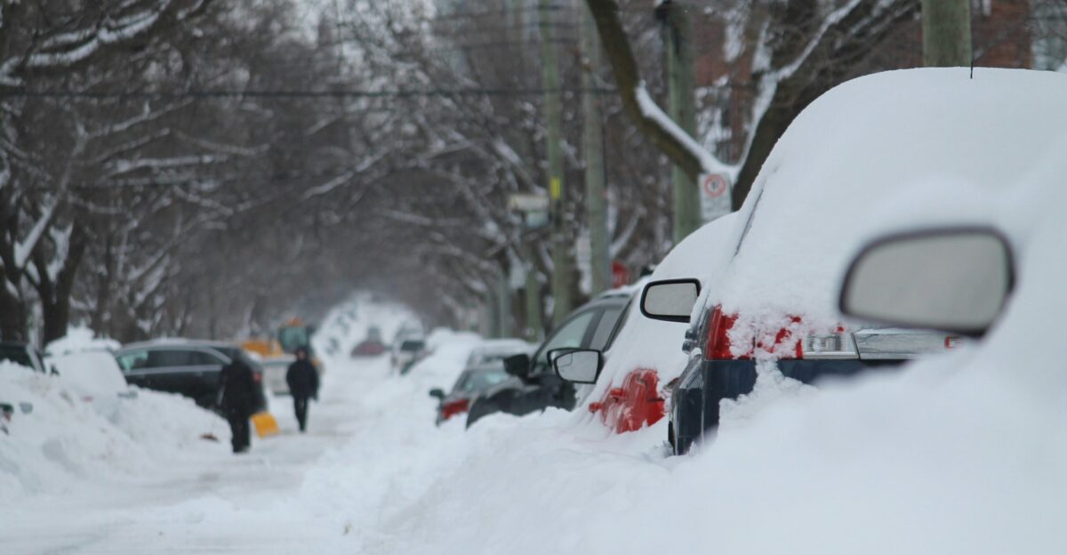 vehicles covered in snow