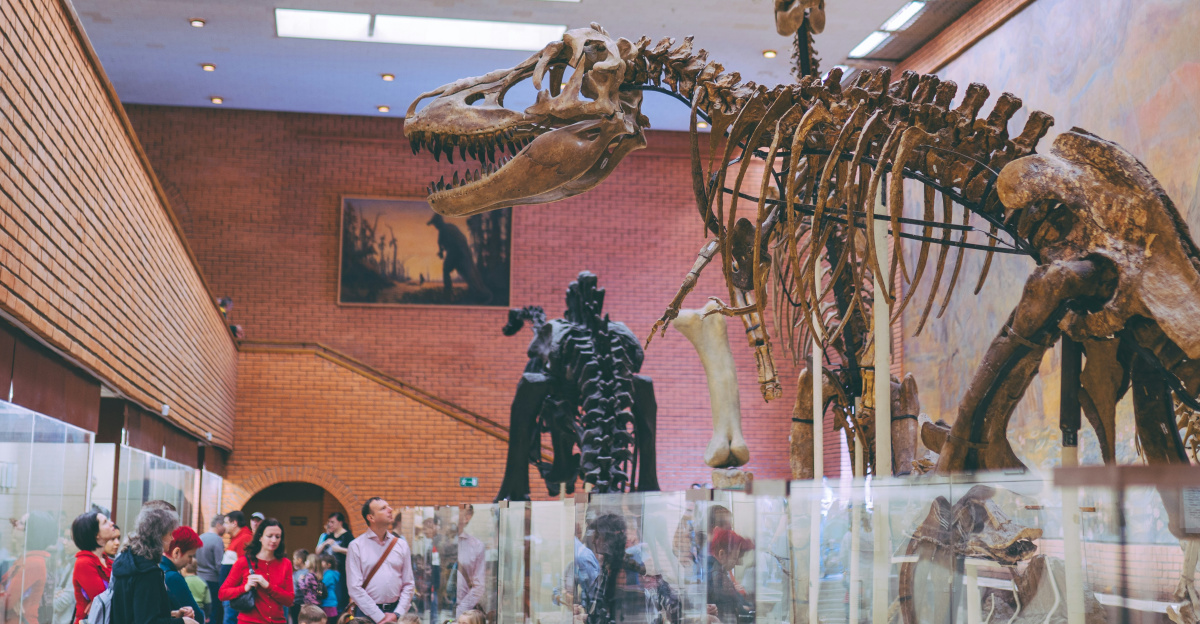 people standing near dinosaur skeleton