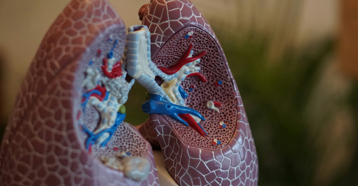 selective focus photography of anatomy lungs