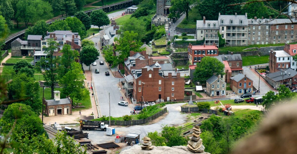 trees near cathedral and buildings