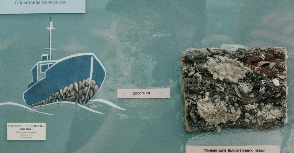 ship and stones on bulletin